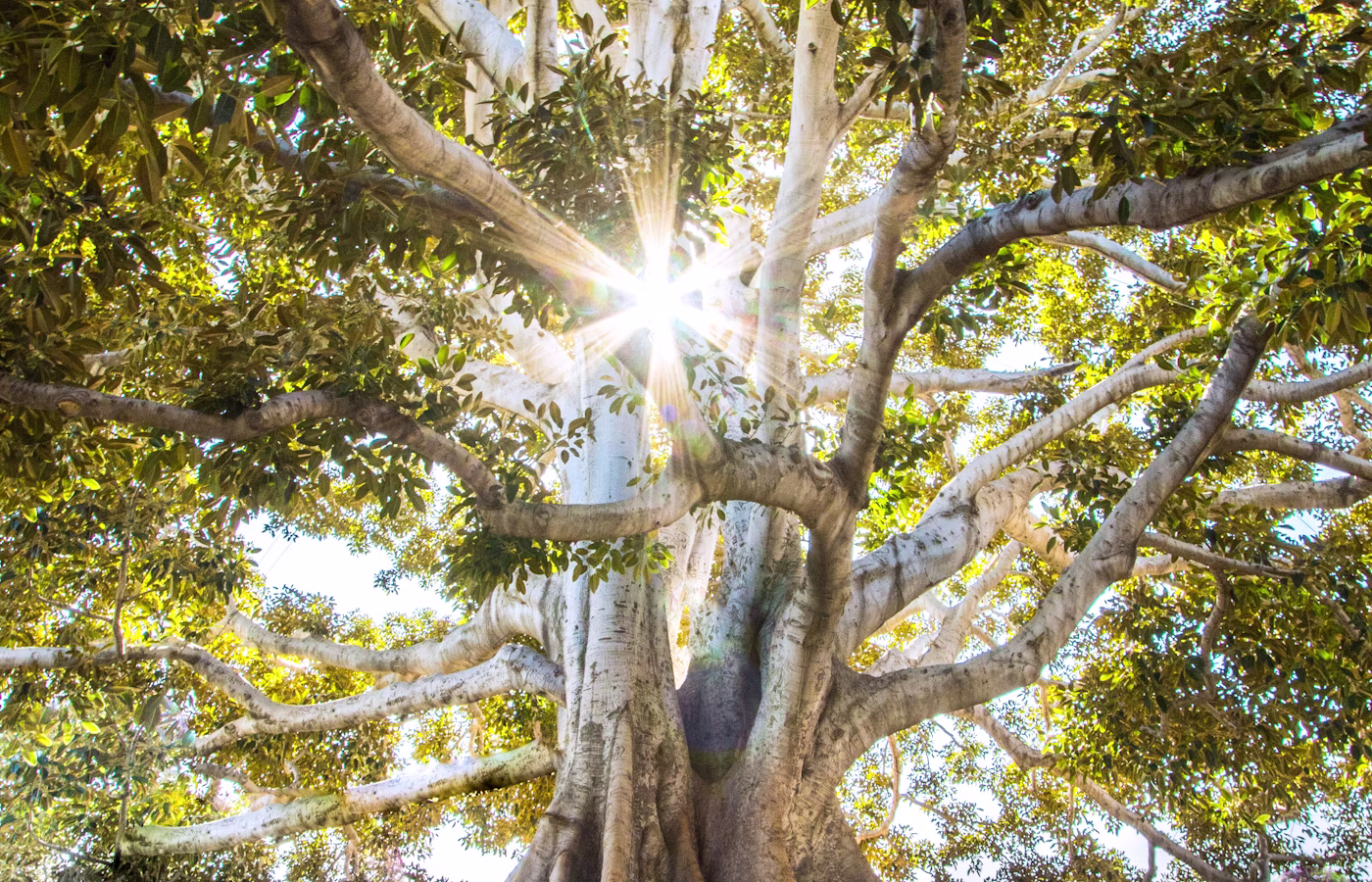 Телесная осознанность для предпринимателя